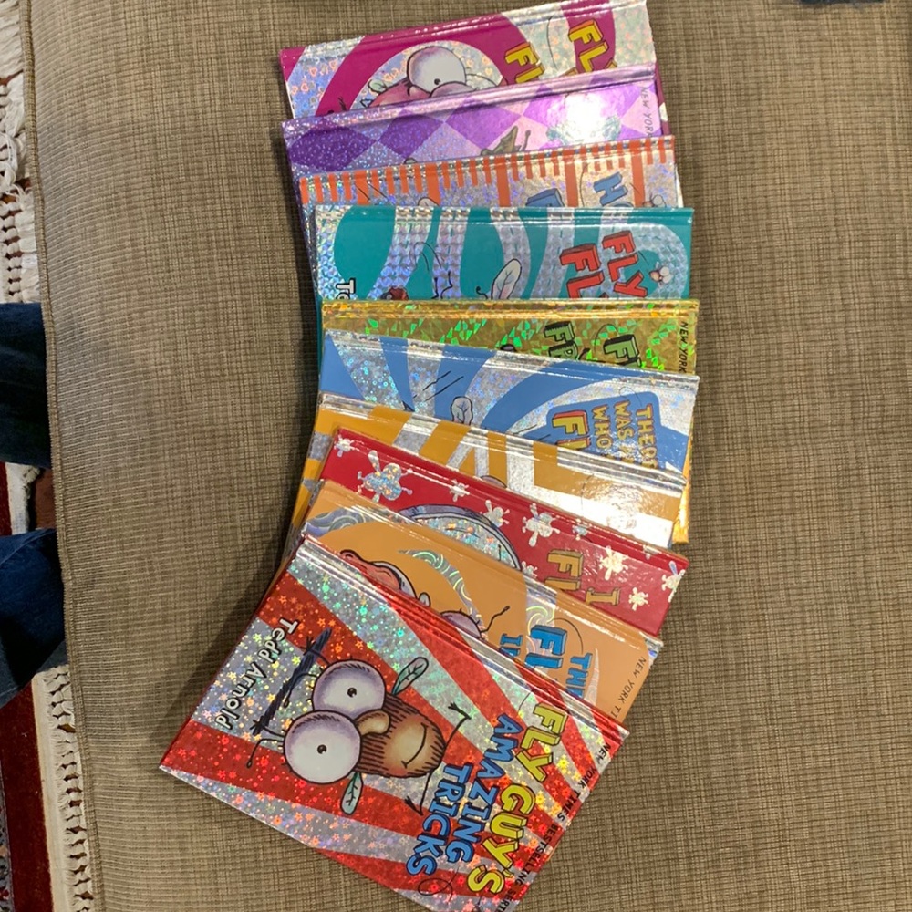COPY - Fly Guy Book Series - 10 hard cover books, like new condition